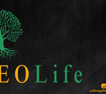 زندگی سئوشده